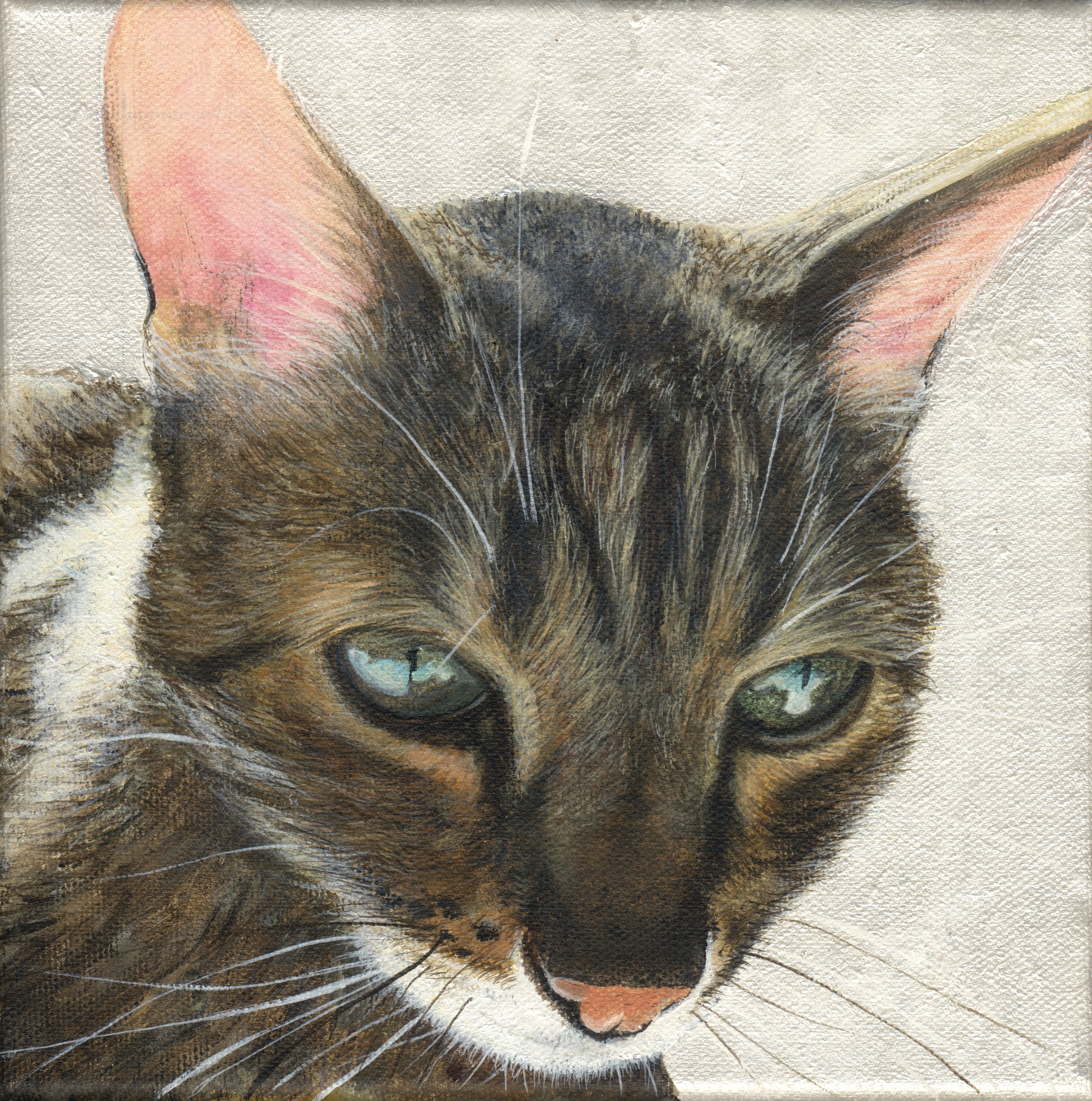 Bespoke acrylic pet portrait commission — hand painted by Akit