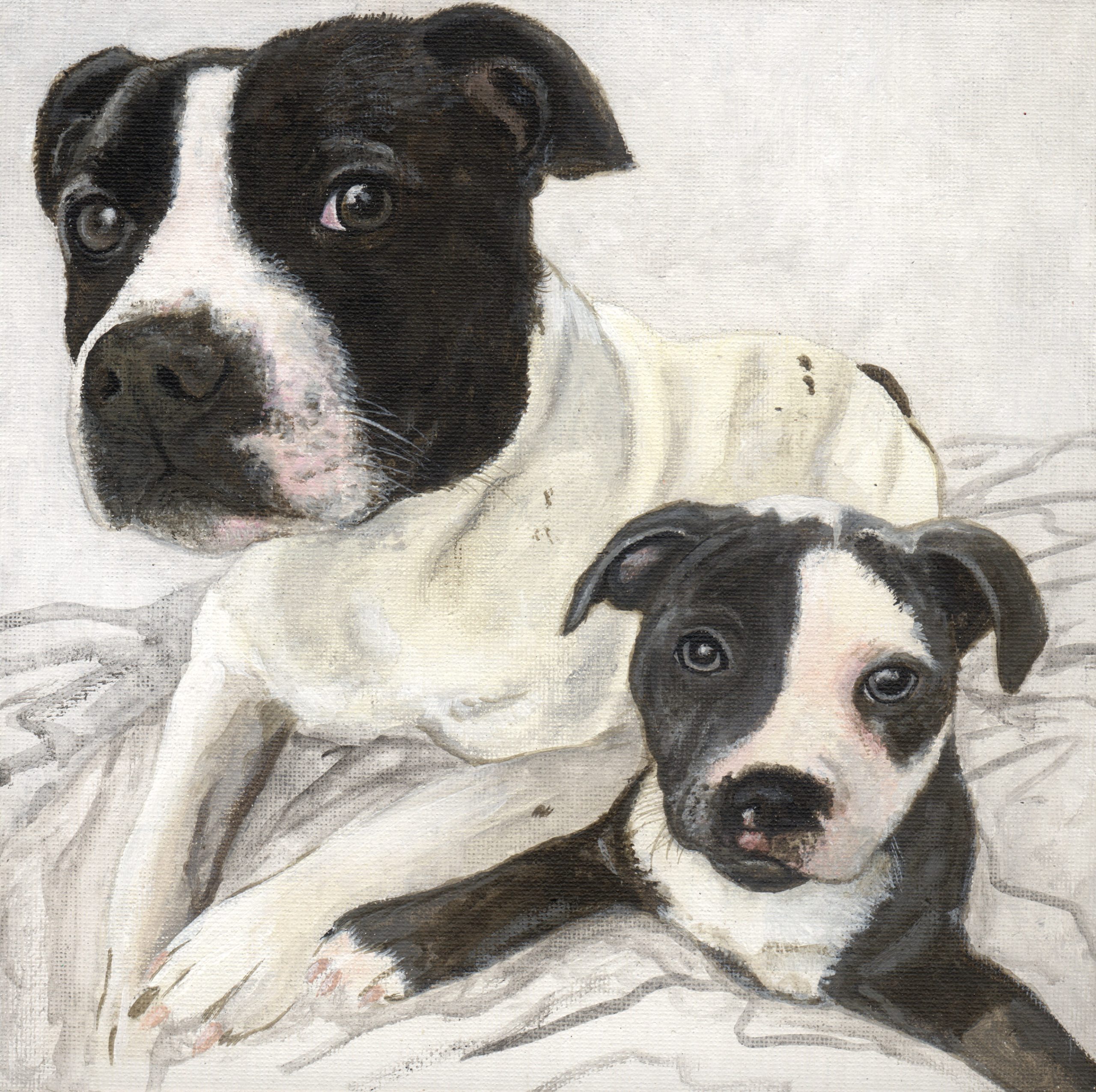 Pet portrait artwork painted in acrylic — commissioned by Akit