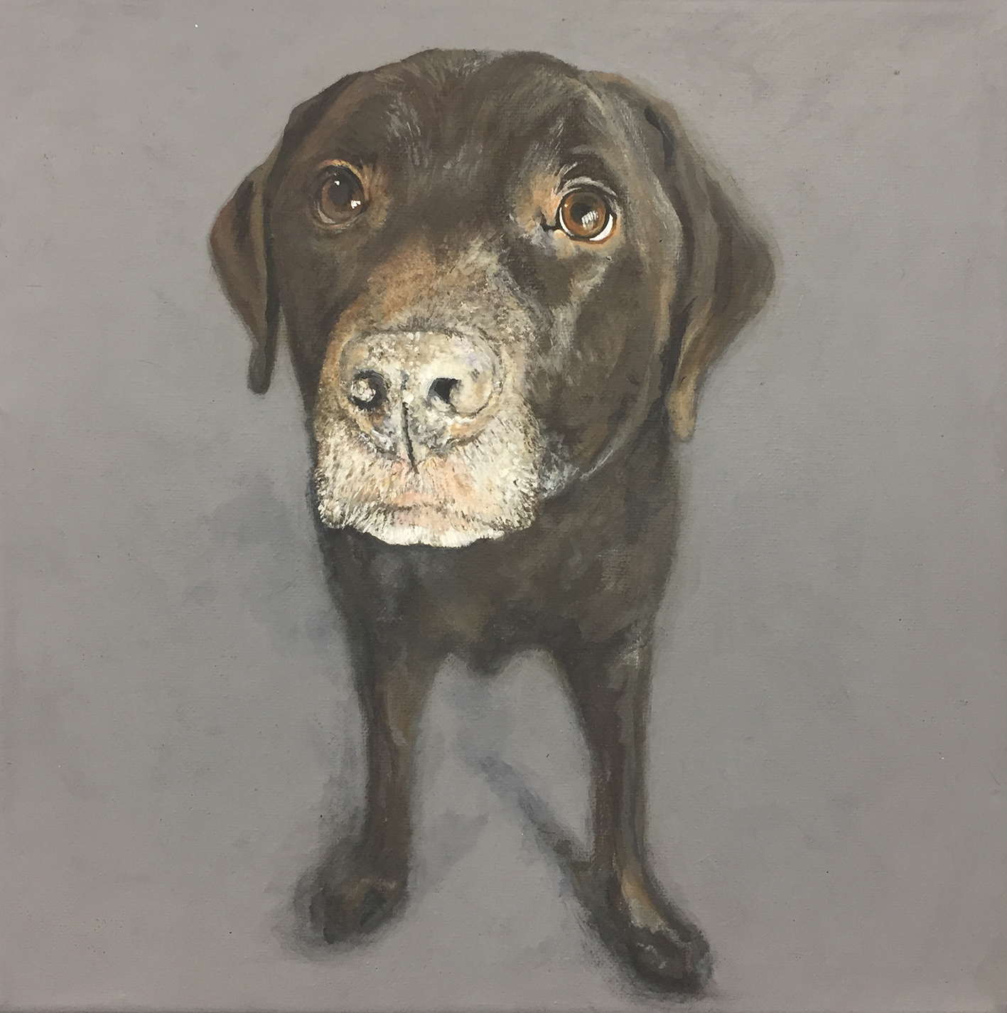 Custom acrylic dog portrait painting — bespoke animal art by Akit