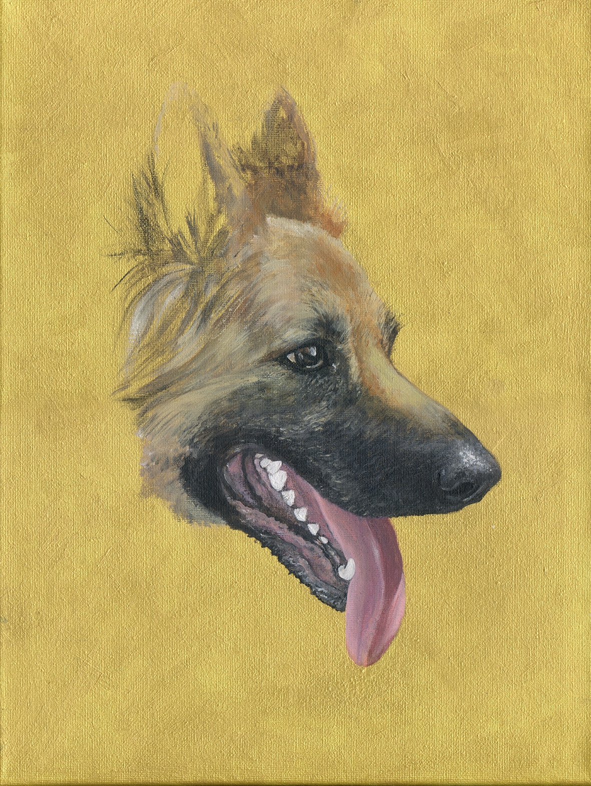 Pet memorial portrait painting in acrylic by Akit