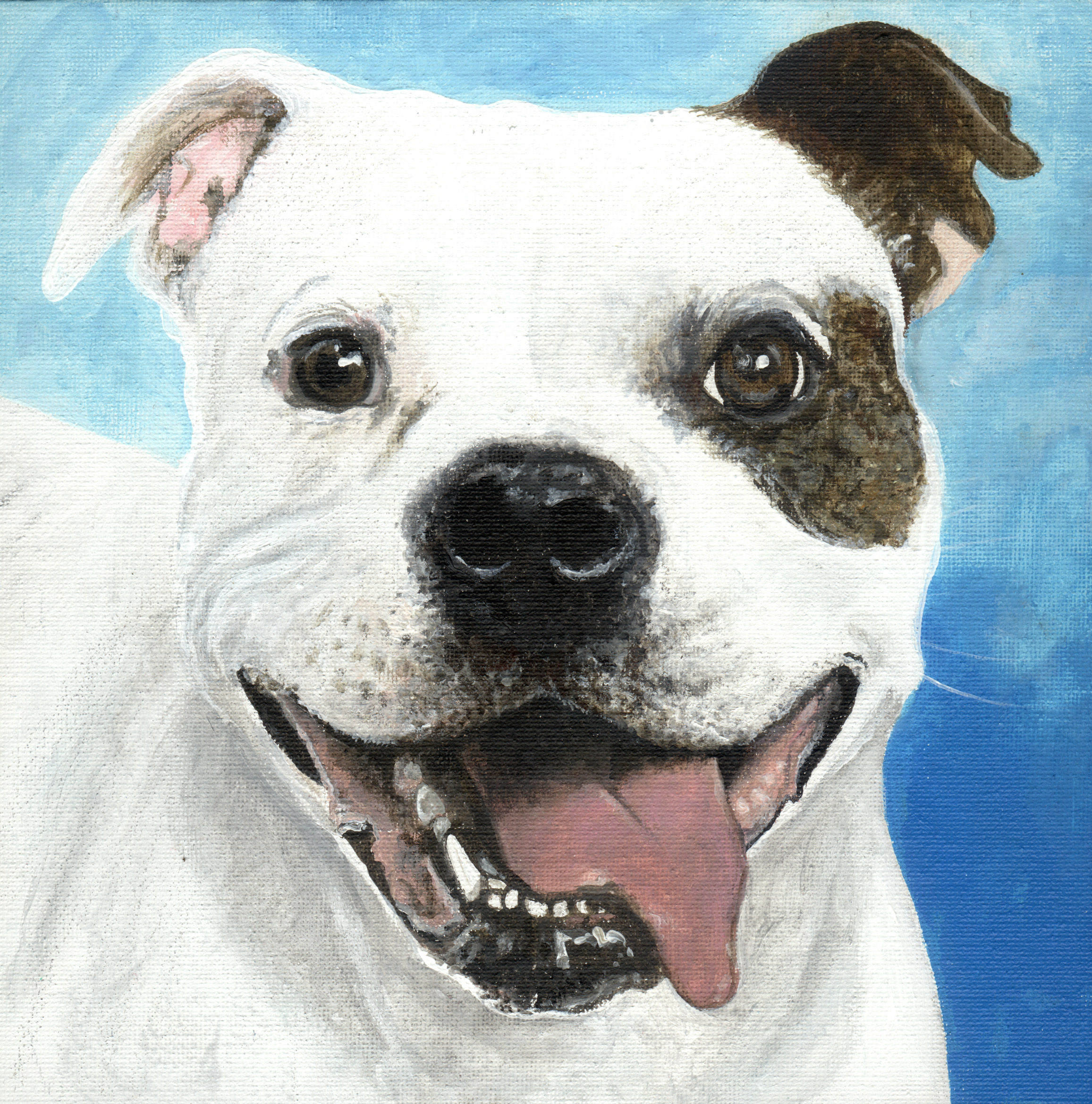 Detailed dog portrait commission painted in acrylic by Akit